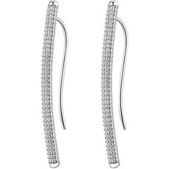Rosato Длинные серебряные серьги с цирконами Bianca RZBI25 sRO1323 цена и информация | Серьги | 220.lv