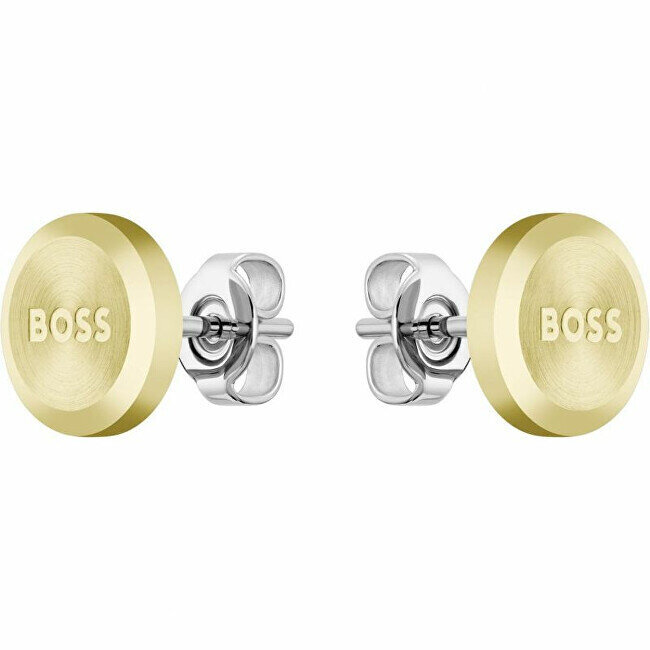 Hugo Boss Minimālistiski apzeltīti auskari Yann 1580478 sHB0104 цена и информация | Auskari | 220.lv