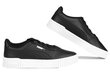 Bērnu sporta apavi PUMA Carina 2.0 PS 386186 01 цена и информация | Sporta apavi bērniem | 220.lv