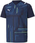 Puma T-krekls pusaudžiem TeamUltimate Jersey Jr 705078 06, zils cena un informācija | Zēnu krekli | 220.lv