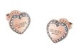 Guess Dzirkstošie sirds auskari Fine Heart JUBE01427JWRGT/U sGU2482 цена и информация | Auskari | 220.lv