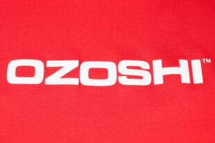 Vīriešu T-krekls Ozoshi Naoto O20TSRACE004 цена и информация | Мужские футболки | 220.lv