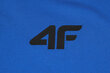 4F Vīriešu T-krekls 4FSS23TFTSM259 36S cena un informācija | Vīriešu T-krekli | 220.lv