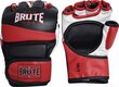 Boksa cimdi Brute MMA Gloves, S/M цена и информация | Bokss un austrumu cīņas | 220.lv