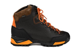 Sporta apavi Alpinus Serauta GN18214 cena un informācija | Vīriešu kurpes, zābaki | 220.lv