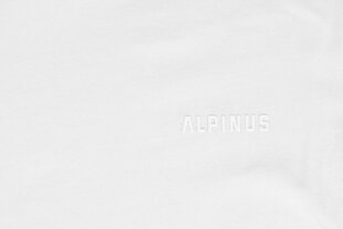 4F Vīriešu T-krekls Alpinus Como BR18239 цена и информация | Мужские футболки | 220.lv