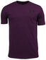 Vīriešu T-krekls Under Armour Sportstyle Left Chest SS 1326799 572 цена и информация | Vīriešu T-krekli | 220.lv