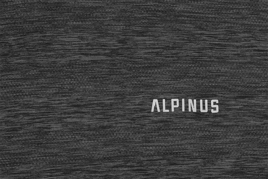 Vīriešu T-krekls Alpinus Antorno GT18286 cena un informācija | Vīriešu T-krekli | 220.lv