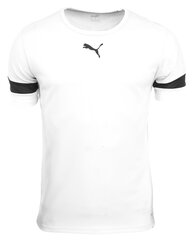 Vīriešu T-krekls PUMA teamRISE Jersey 704932 04 цена и информация | Мужские футболки | 220.lv