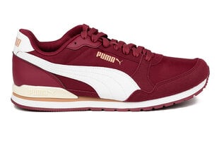 Vīriešu sporta apavi PUMA ST Runner v3 NL 384857 15 цена и информация | Кроссовки для мужчин | 220.lv