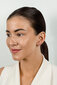Brilio Silver Burvīgi apzeltīti auskari ar īstām pērlēm EA585/6/7/8Y sBS2442-5 cena un informācija | Auskari | 220.lv