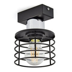Подвесной светильник Luxolar, белый цена и информация | Настенный/подвесной светильник Eye Spot 11 BL, чёрный | 220.lv