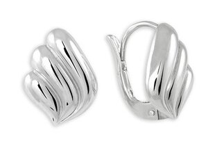 Brilio Silver Женские серебряные серьги 431 001 01636 04 sBS1613 цена и информация | Серьги | 220.lv