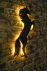 Декоративный настенный светильник Wild Horse, 1 шт. цена и информация | Детали интерьера | 220.lv
