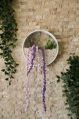 Декорация на стену Plants In Circles, 1 шт. цена и информация | Детали интерьера | 220.lv