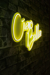 Декоративный настенный светильник Ciao Bella, 1 шт. цена и информация | Детали интерьера | 220.lv