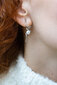 JwL Luxury Pearls Gari apzeltīti sudraba auskari ar pērli JL0621 sJL0621 cena un informācija | Auskari | 220.lv