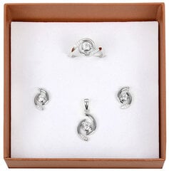 Silver Cat Серебряные серьги с кристаллом SC114 sSC0110 цена и информация | Серьги | 220.lv