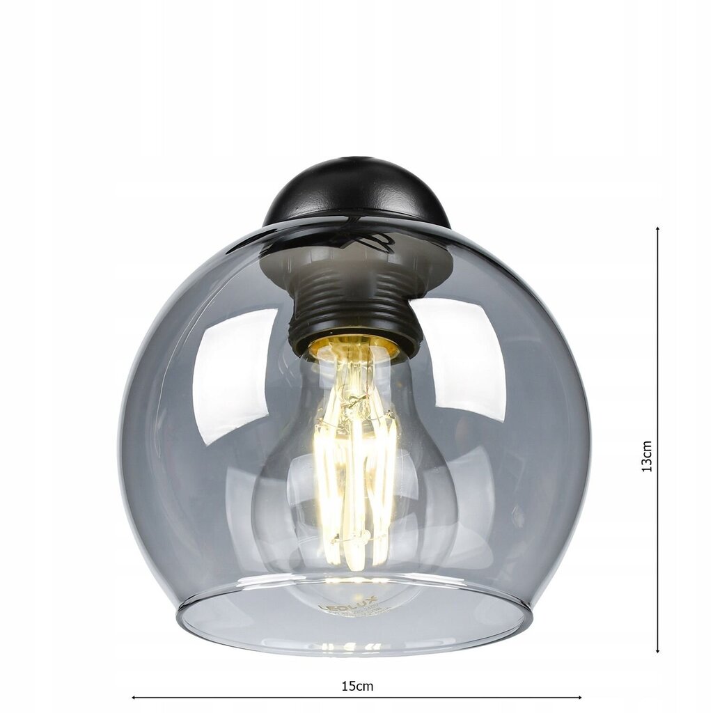 Piekaramā lampa Ledlux cena un informācija | Griestu lampas | 220.lv