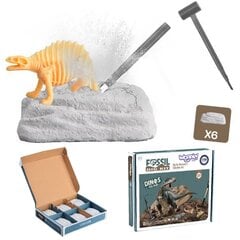 WOOPIE Раскопки 6in1 Скелет динозавра Маленький археолог цена и информация | Развивающие игрушки | 220.lv