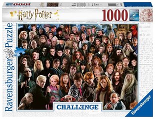 Пазл Ravensburger Challange Harry Potter, 14988, 1000 д. цена и информация | Пазлы | 220.lv