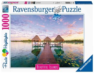 Ravensburger Puzle Beaut.islands Trop.view 1000p 16908 cena un informācija | Puzles, 3D puzles | 220.lv