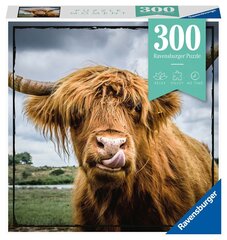 Пазл Ravensburger Highland крупного рогатого скота, 13273, 300 д. цена и информация | Пазлы | 220.lv