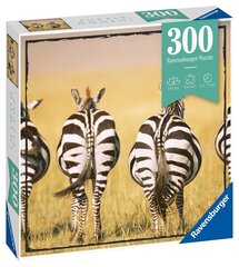 Ravensburger puzle Zebra 300p 13312 cena un informācija | Puzles, 3D puzles | 220.lv