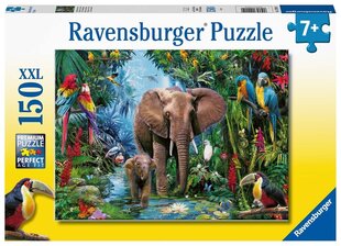 Ravensburger puzle ziloņi pie Oasis 150p 12901 cena un informācija | Puzles, 3D puzles | 220.lv