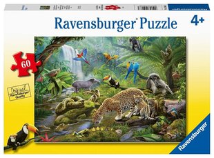 Пазл Ravensburger с животными Животные тропического леса, 5166, 60 д. цена и информация | Пазлы | 220.lv