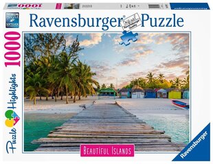 Ravensburger Puzle Maldivs Paradise 1000p 16912 cena un informācija | Puzles, 3D puzles | 220.lv