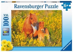 Ravensburger Puzle Shetland Pony 100p 13283 цена и информация | Пазлы | 220.lv