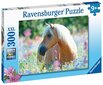 Ravensburger puzle zirgs 300p 13294 jūrā cena un informācija | Puzles, 3D puzles | 220.lv