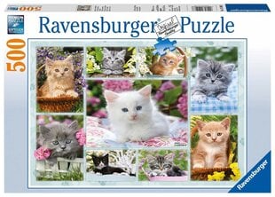 Ravensburger puzle kaķēns grozā 500p 14196 cena un informācija | Puzles, 3D puzles | 220.lv