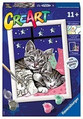 Ravensburger - серия Creart и сладкие котята, краска 11+ лет, 202133 цена и информация | Живопись по номерам | 220.lv