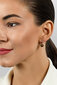 Brilio Silver Burvīgi sudraba auskari ar sintētiskiem opāliem EA681WBC sBS2657 cena un informācija | Auskari | 220.lv