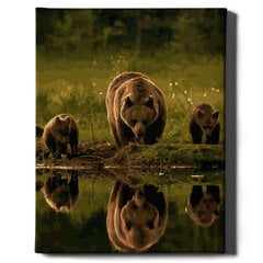 Картина по номерам На Раме "Медвежья семья" Oh Art! 40x50 см цена и информация | Живопись по номерам | 220.lv