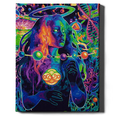 Картина по номерам На Раме "Девушка в космосе" Oh Art! 40x50 см цена и информация | Живопись по номерам | 220.lv
