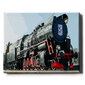 Glezna pēc cipariem, ierāmēta "Vilciens Lech" Oh Art! 40x50 cm cena un informācija | Gleznas pēc numuriem | 220.lv