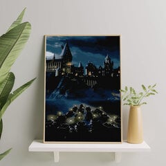 Glezna pēc cipariem, ierāmēta "Hogwart" Oh Art! 40x50 cm cena un informācija | Gleznas pēc numuriem | 220.lv