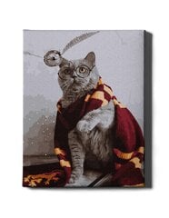 Glezna pēc cipariem, ierāmēta "Maģiskais kaķis" Oh Art! 40x50 cm cena un informācija | Gleznas pēc numuriem | 220.lv