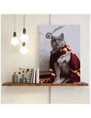 Glezna pēc cipariem, ierāmēta "Maģiskais kaķis" Oh Art! 40x50 cm cena un informācija | Gleznas pēc numuriem | 220.lv
