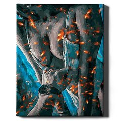 Glezna pēc cipariem, ierāmēta "Ugunīga kaisle" Oh Art! 40x50 cm cena un informācija | Gleznas pēc numuriem | 220.lv