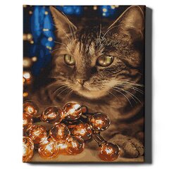 Картина по номерам На Раме "Кошка с огоньками" Oh Art! 40x50 см цена и информация | Живопись по номерам | 220.lv
