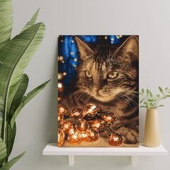 Картина по номерам На Раме "Кошка с огоньками" Oh Art! 40x50 см цена и информация | Живопись по номерам | 220.lv