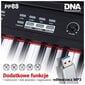 Digitālās klavieres DNA PP88 цена и информация | Taustiņinstrumenti | 220.lv