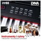 Digitālās klavieres DNA PP88 cena un informācija | Taustiņinstrumenti | 220.lv