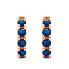 Brilio Silver Маленькие бронзовые кольца с голубыми цирконами EA481RB sBS2056 цена и информация | Серьги | 220.lv