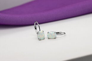 Brilio Silver Eleganti sudraba auskari ar sintētiskiem opāliem EA373W sBS1887 cena un informācija | Auskari | 220.lv