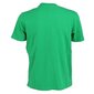 Crewneck t-shirt champion legacy vīriešiem green 218561gs004 218561GS004 цена и информация | Vīriešu T-krekli | 220.lv